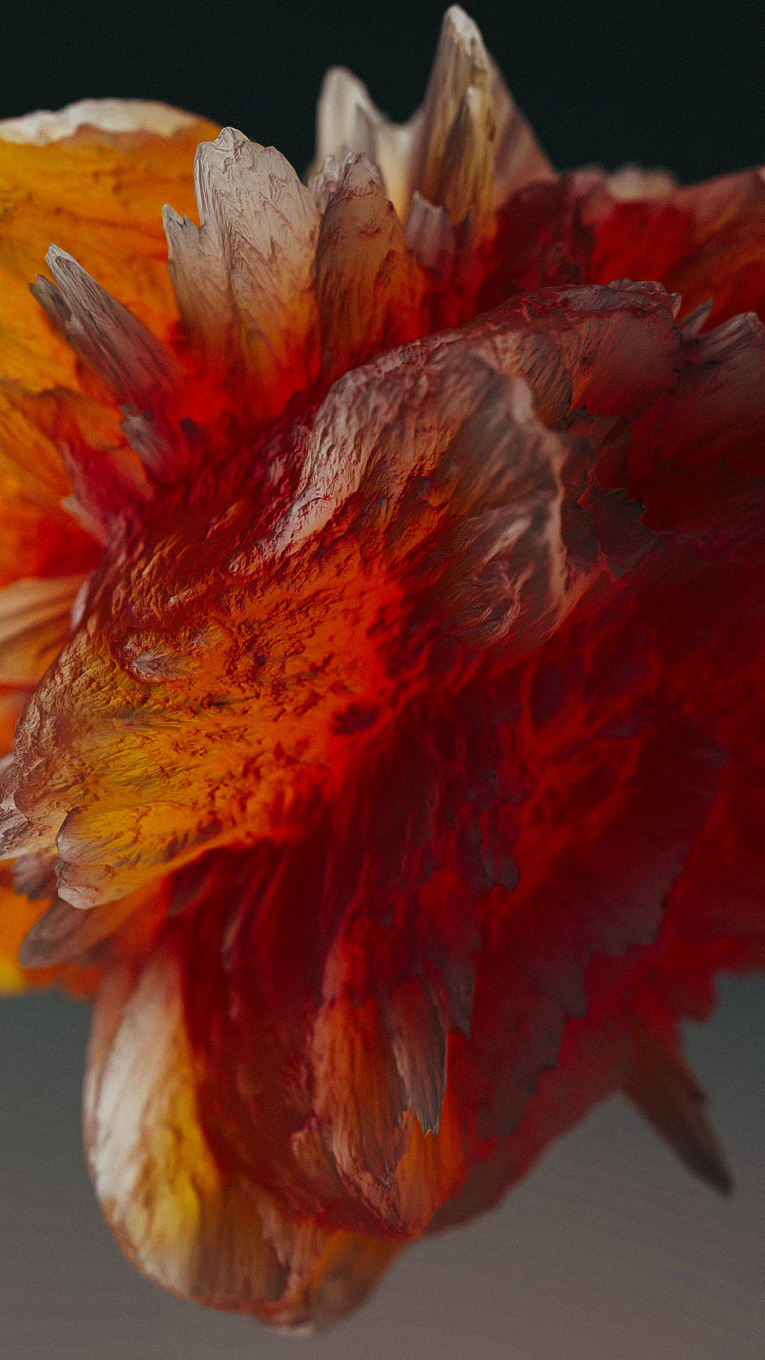 Exploration_23_26_02